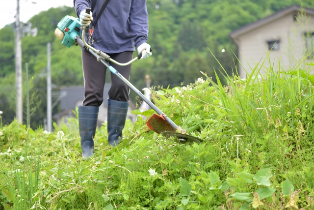 松阪市で草刈りに最適な年3回の時期～楽に草刈りを終えるコツまで徹底解説