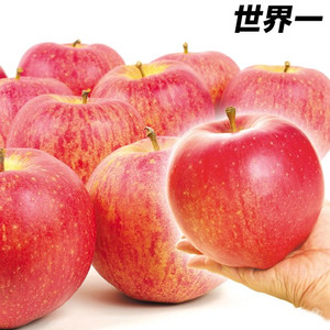 【限定5名】1玉500g超!!世界一大きなリンゴ(5kg1箱) 片付け110番プレゼント!