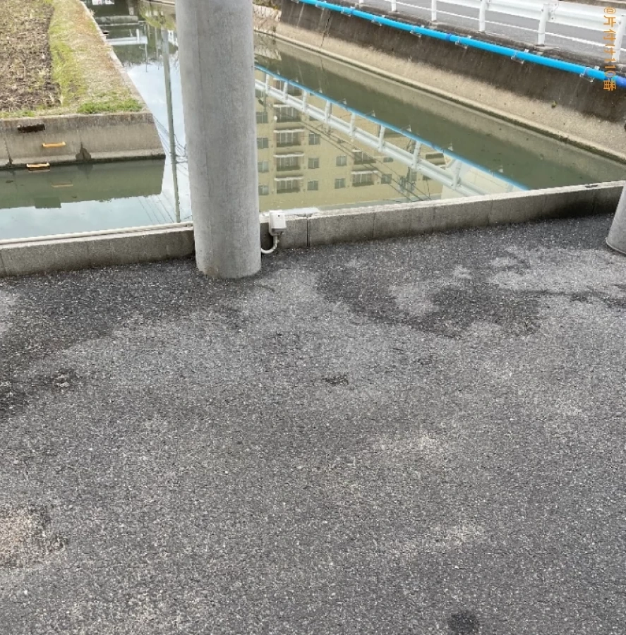 シングルベッド、カーペット、食器棚、二人掛けソファー等の回収